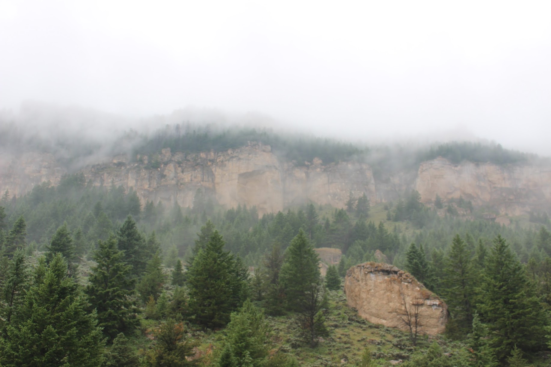 Foggy crag