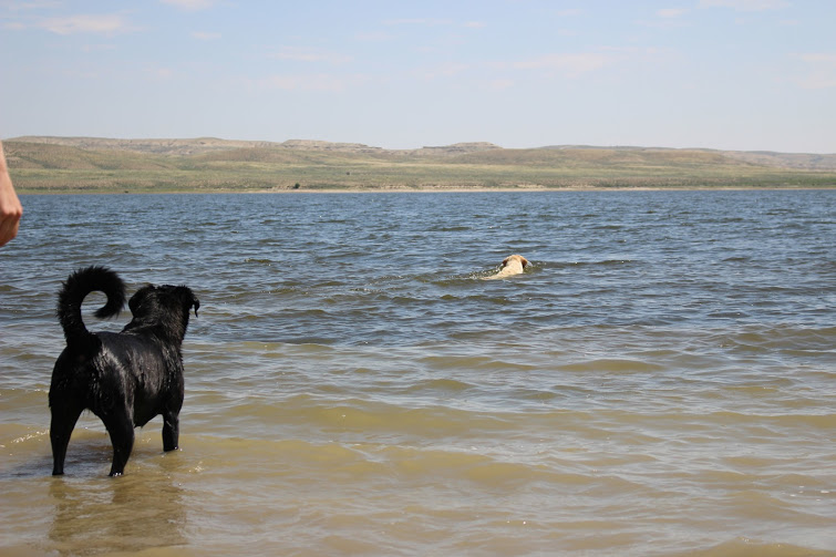 Silo swimming