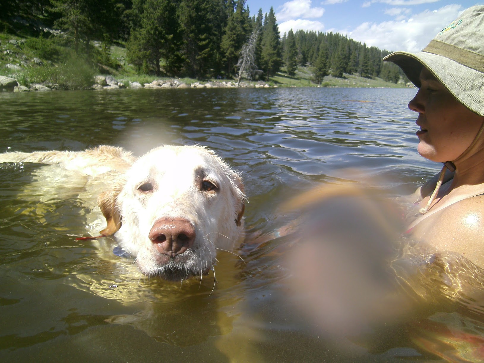 Silo swimming