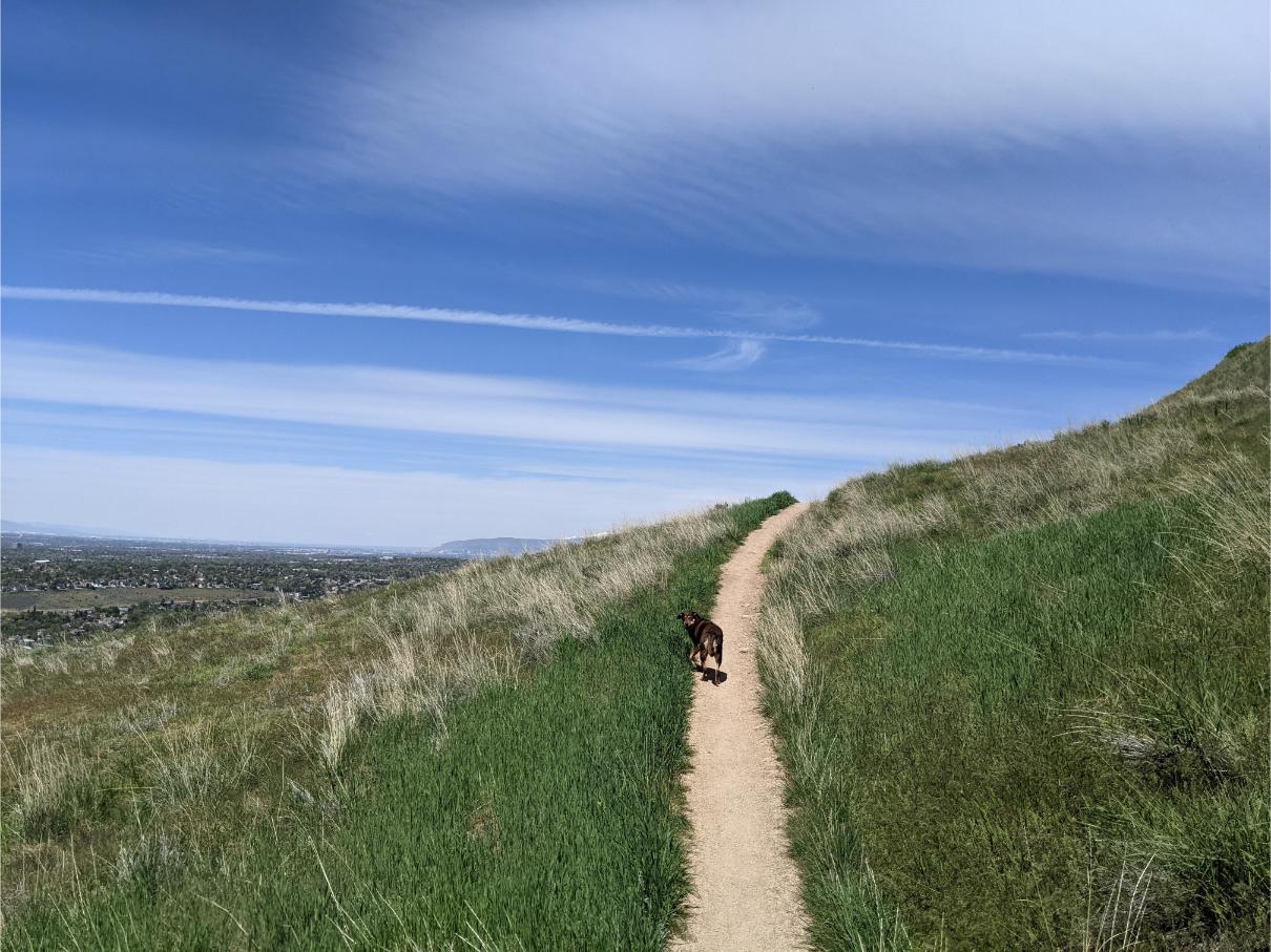 Ripley Hiking